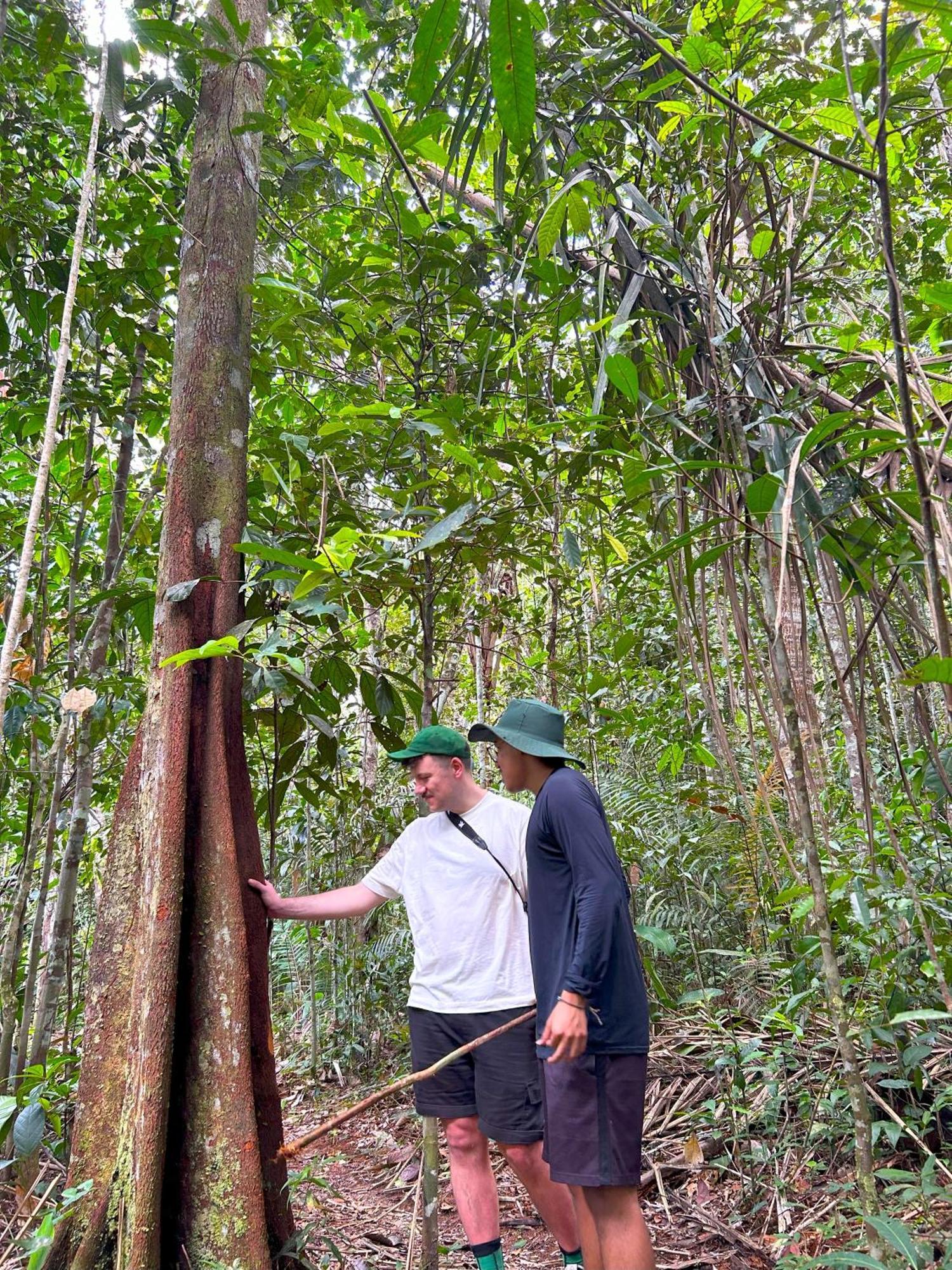 Ponta Poranga Jungle Guest house *