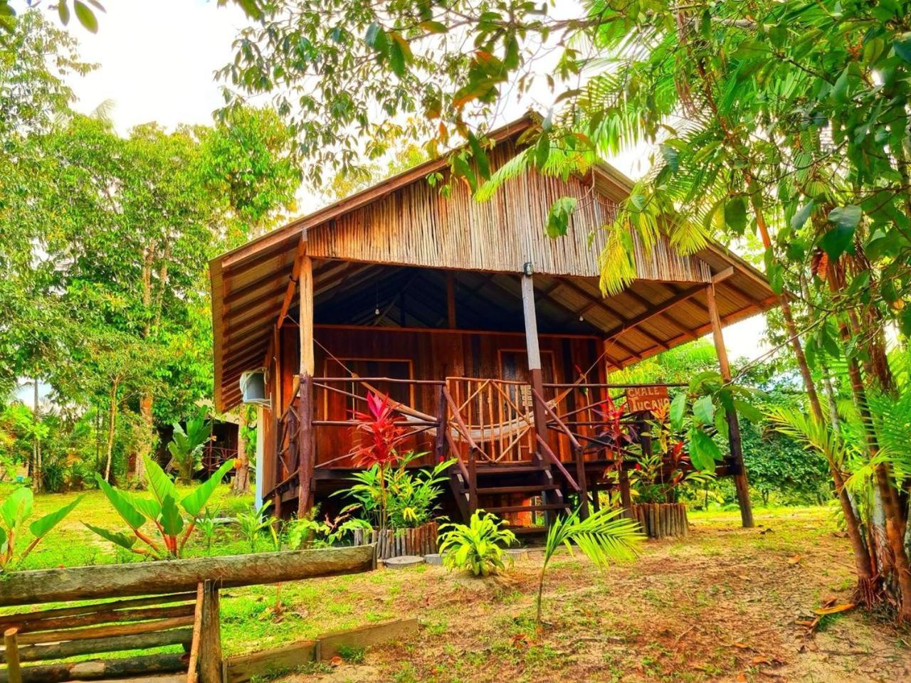 Ponta Poranga Jungle *